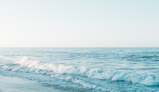 2025/12/29週次レポート